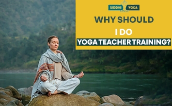 pourquoi devrais-je faire une formation de professeur de yoga 355x218