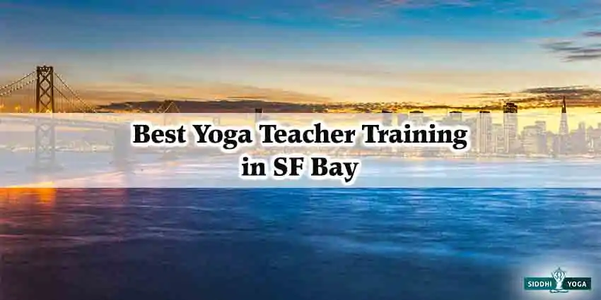 Best Yoga Teacher Training in SF Bay