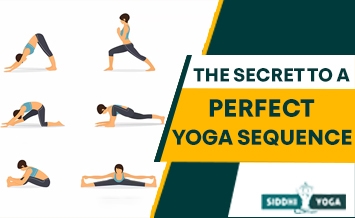 o segredo para uma sequência de yoga perfeita 355x218