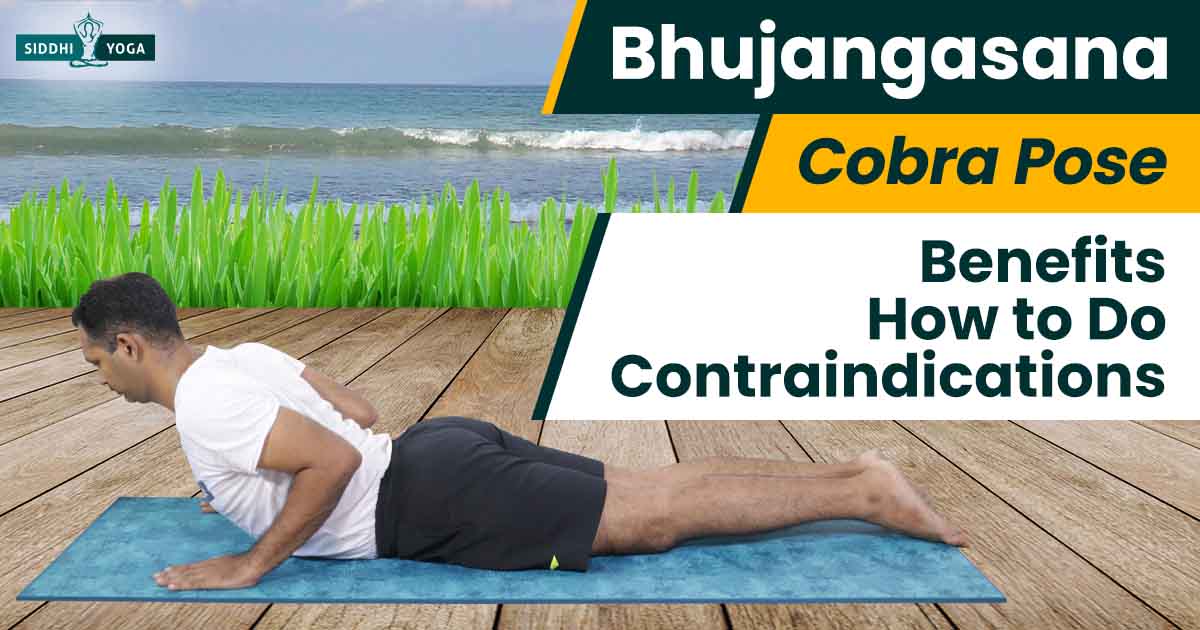 How to Do Bhujangasana or Cobra Pose - DoYou