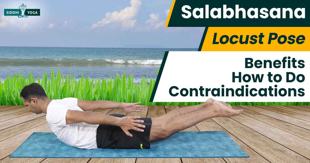 Salabhasana | Locust Pose | Steps | Benefits | Precautions