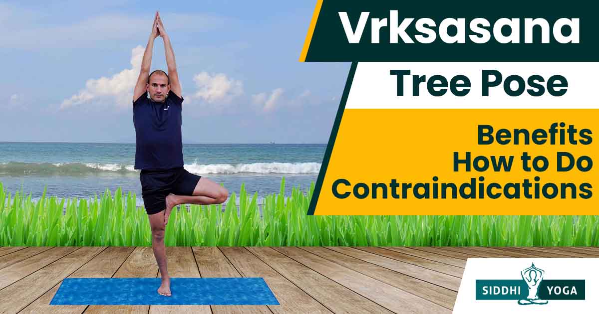 Vrksasana or Tree Pose Meaning, Benefits & How to Do