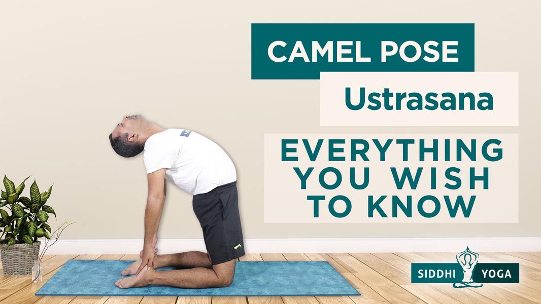 Ustrasana (Camel Pose) Benefits, How to do, Contraindications