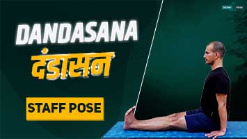 dandasana