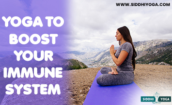 yoga for immune system