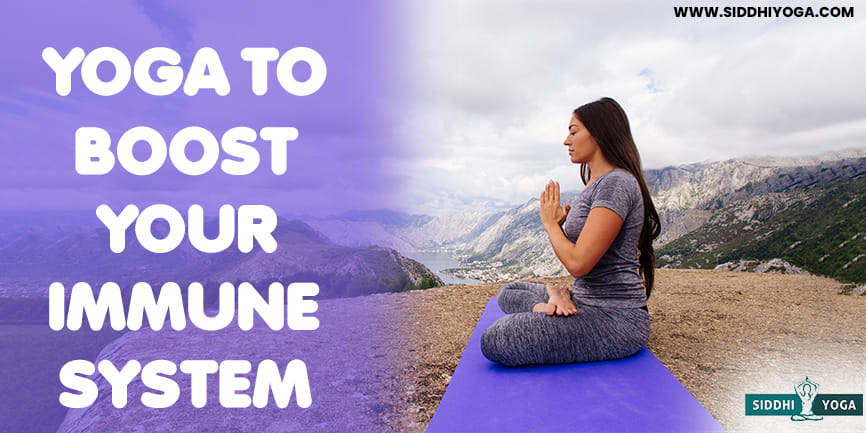 yoga for immune system