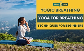 Yoga für Anfänger – wie man anfängt 355x218