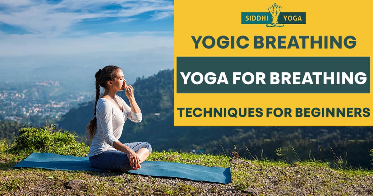 The Yogic Diet: A Complete Guide • Yoga Basics