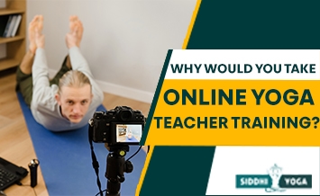 لماذا تأخذ تدريب معلمي اليوغا عبر الإنترنت 21x1200
