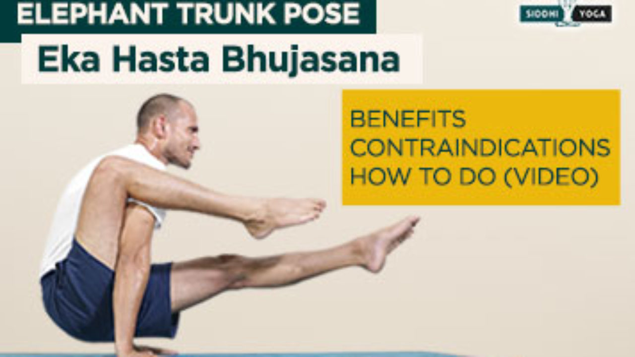 Eka Hasta Bhujasana Or Eka Pada Bhujasana Elephant Trunk Pose Benefits