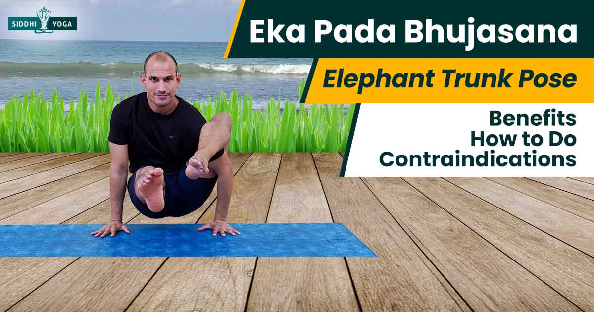 Black Elephant Trunk Yoga Pose Silhouette Image @ Silhouette.pics
