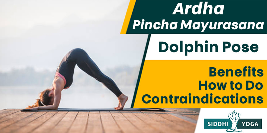 pose de golfinho ardha pincha mayurasana