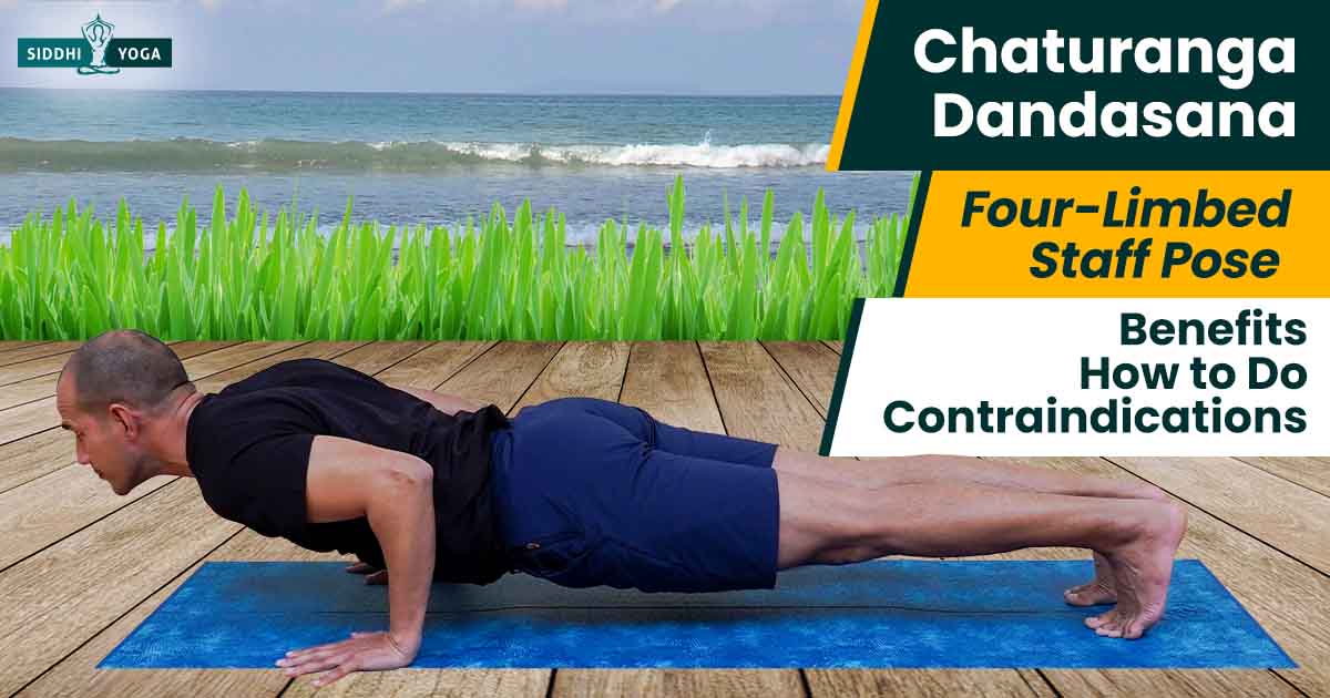 Benefits of Naukasana (Boat Pose Yoga) and How to Do it By Dr. Ankit Sankhe  - First Plus Home Healthcare