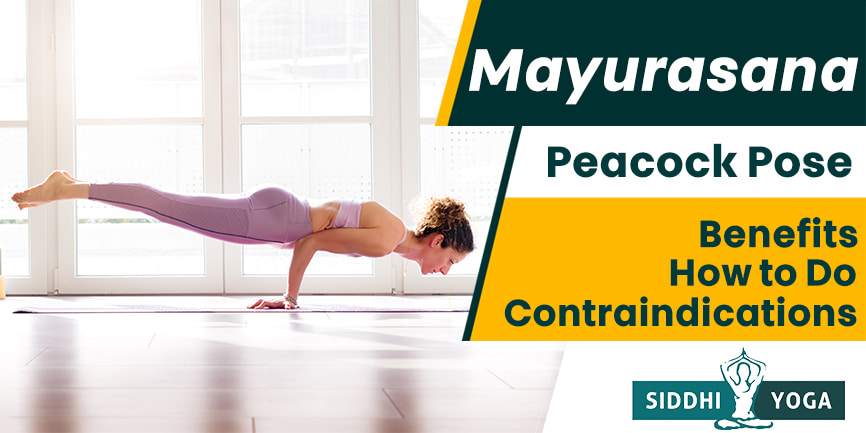 Mayurasana-Pfau-Pose