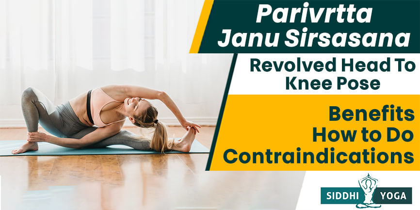 تدور parivrtta janu sirsasana من الرأس إلى الركبة