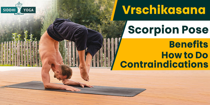 vrschikasana scorpion pose