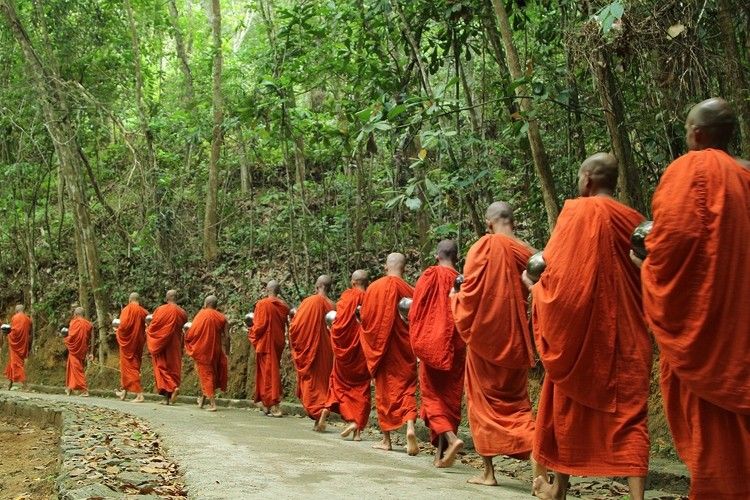 a meditação andando