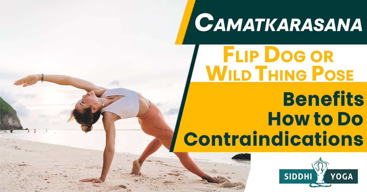 Camatkarasana (Flip Dog or Wild Thing Pose) Benefits
