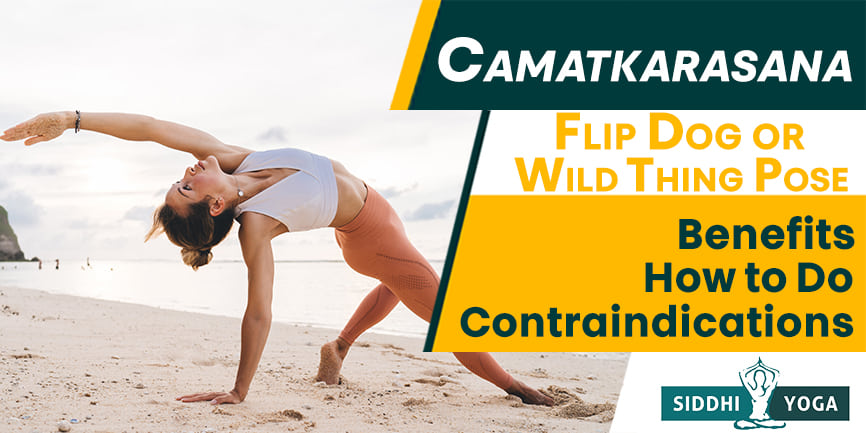 Camatkarasana Wild Thing Flip Dog Pose