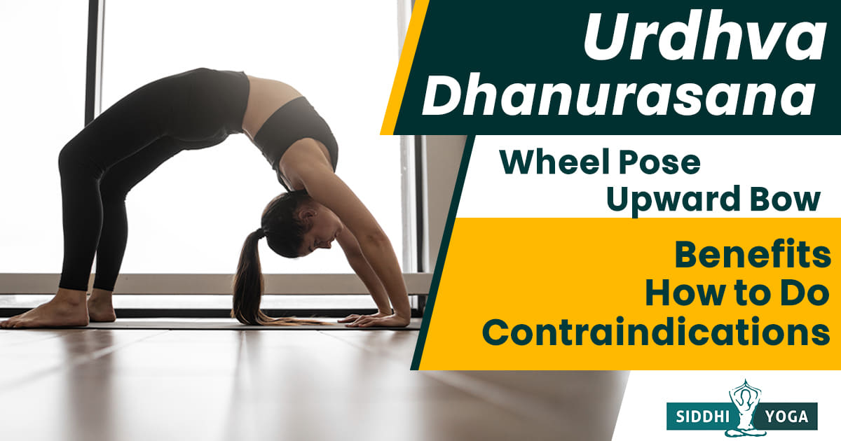 Yoga Poses: Bow Pose (Dhanurasana) | Workout Trends