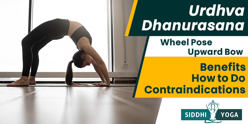chakrasana wheel pose