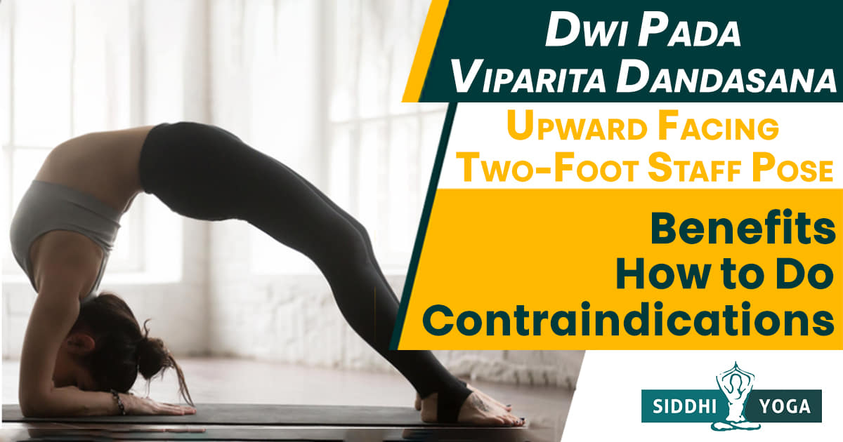 Health Hunter Yoga Studio - FOUNDATIONAL YOGA POSES: Chaturanga Dandasana  (Four-Limbed Staff Pose) Benefits: A foundational pose that teaches you how  to find your center and activate your legs in arm balances.