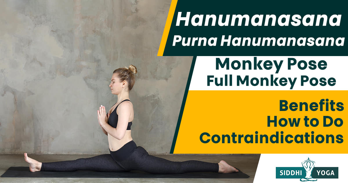 Hanumanasana: How to Do Monkey Pose Its Benefits & Variations | cult.fit