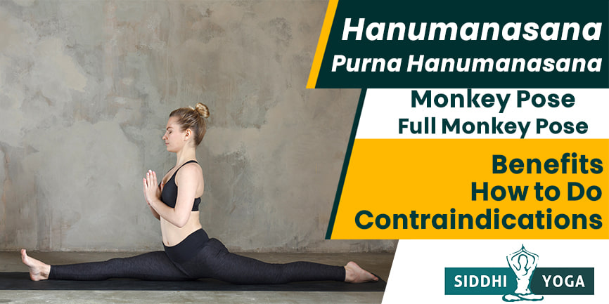 pose de mono hanumanasana