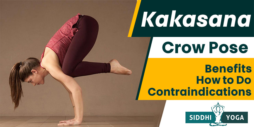 Kakasana Krähe Pose
