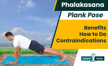 plank pose phalakasana