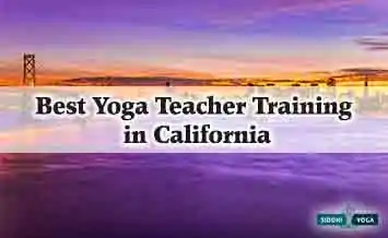 Best Yoga Training in California