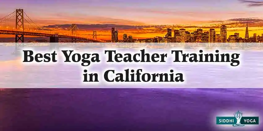 Best Yoga Teacher Training in California
