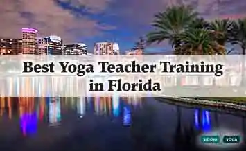 Best Yoga Training in Florida
