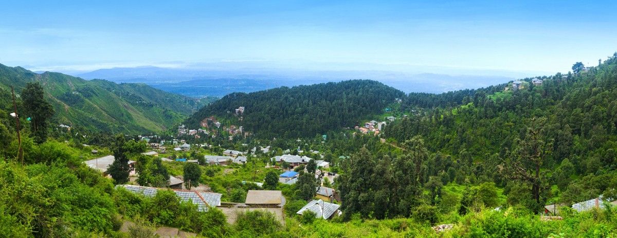 اليوغا تدريب المعلمين في الهند dharamsala