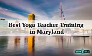 Best Yoga Training in Maryland