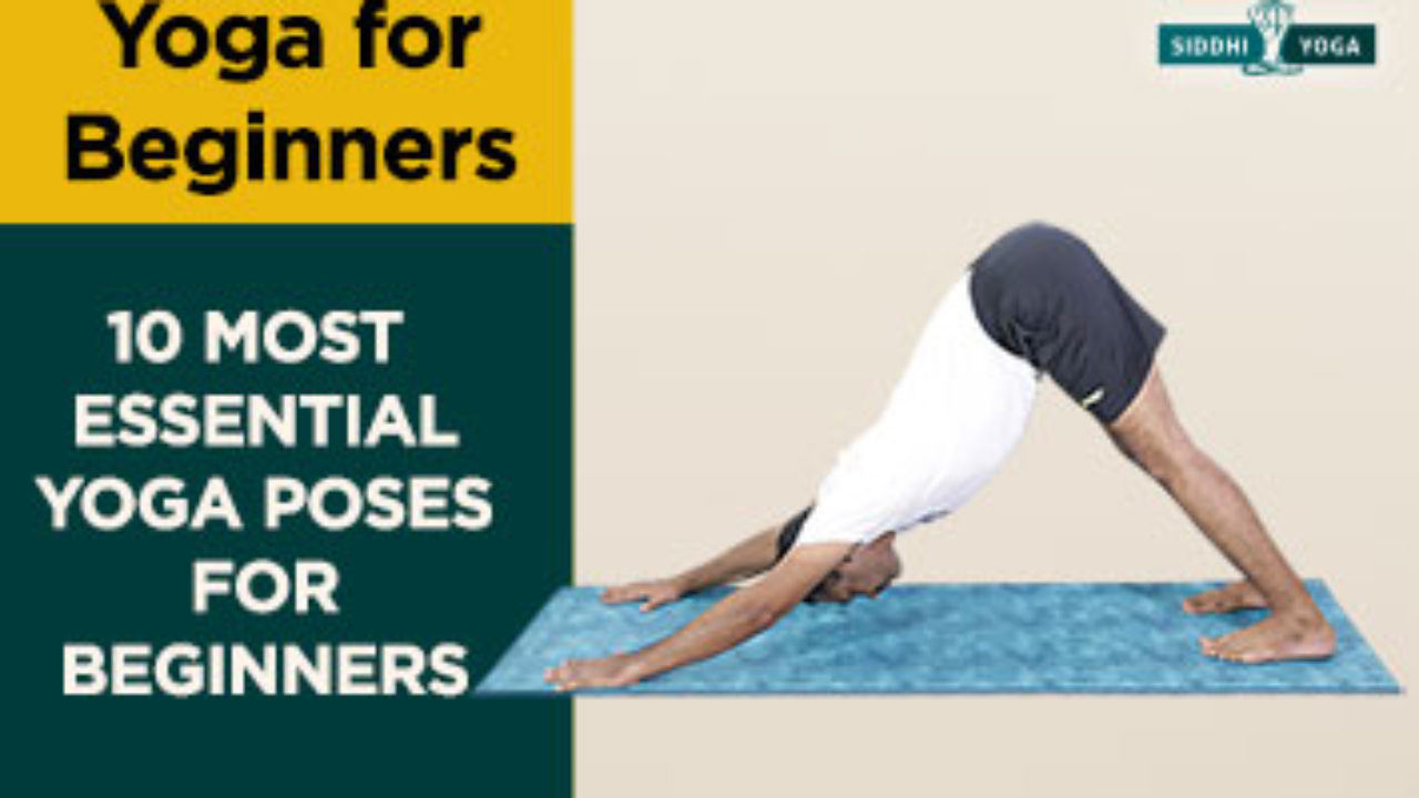 45 Most Essential Yoga Poses for Beginners Siddhi Yoga 45 Most Essential Yoga Poses for Beginners Siddhi Yoga