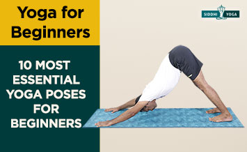 wesentliche Yoga-Posen für Anfänger