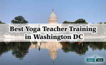 华盛顿特区的瑜伽老师培训