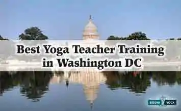 Yoga Teacher Training in Washington DC