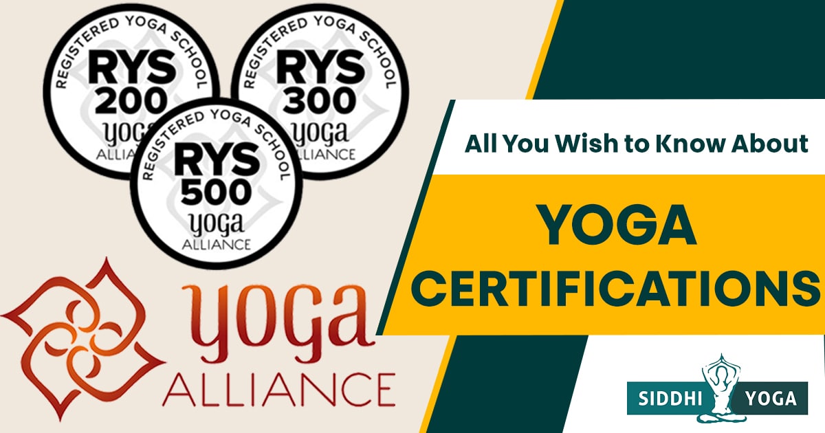 Yoga Certifications: Understanding All YA Certifications