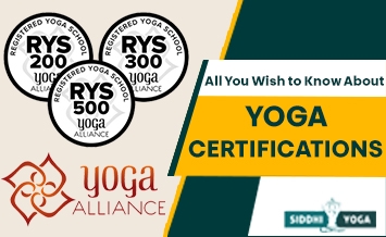 сертификаты йоги 355x218