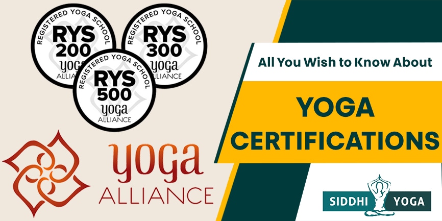 certificats de yoga 866x433