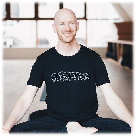 Die besten Yoga-Trainingsprogramme in Dänemark und den Benelux-Ländern