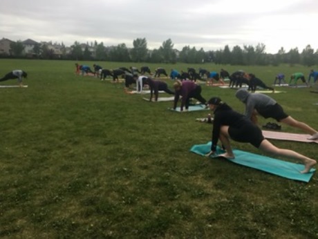 the best yoga in canada