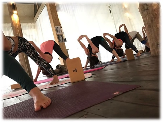 the best yoga teacher training in thailand
