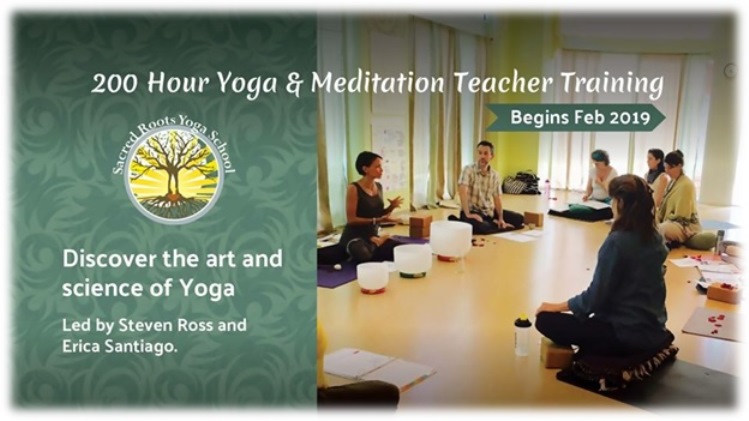 top yoga teacher training in austin, texas