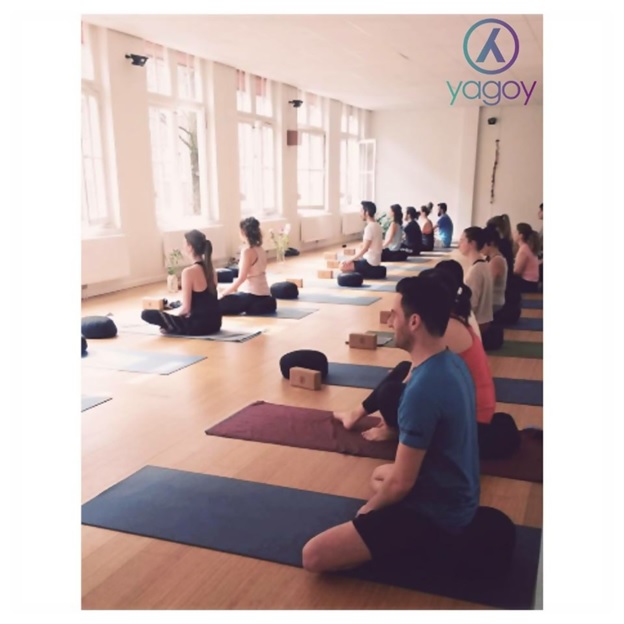 the best yoga training in denmark and the benelux countries