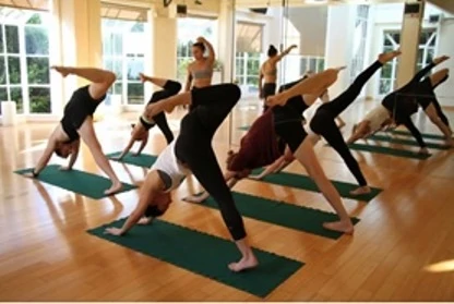 best yoga training in sf bay