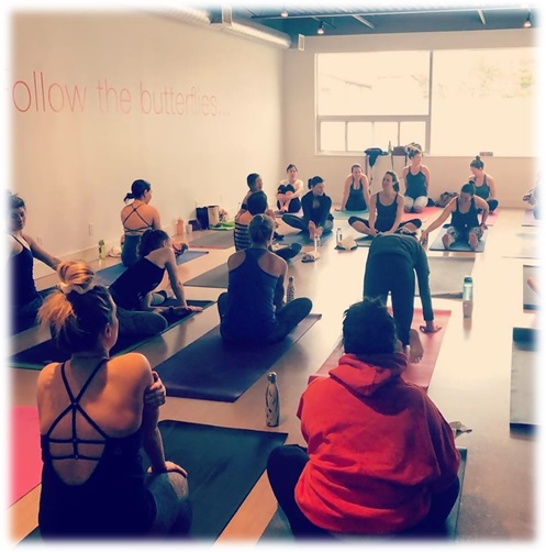 yoga teacher training schools in toronto