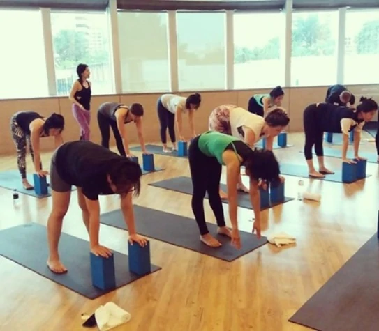 top yoga teacher trainings in bangkok